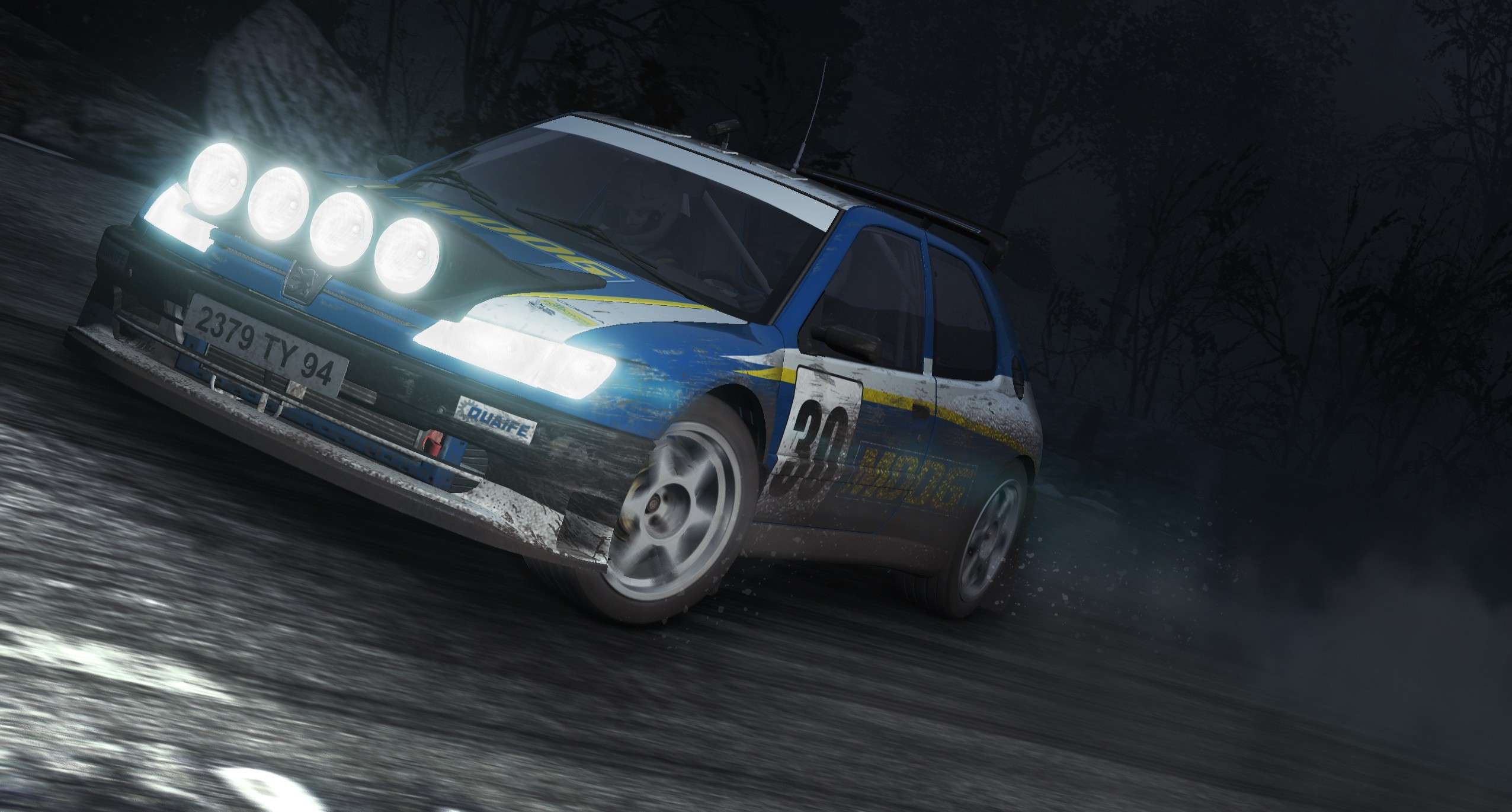 DiRT Rally - Imagen 10
